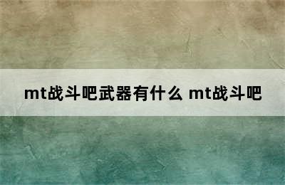 mt战斗吧武器有什么 mt战斗吧